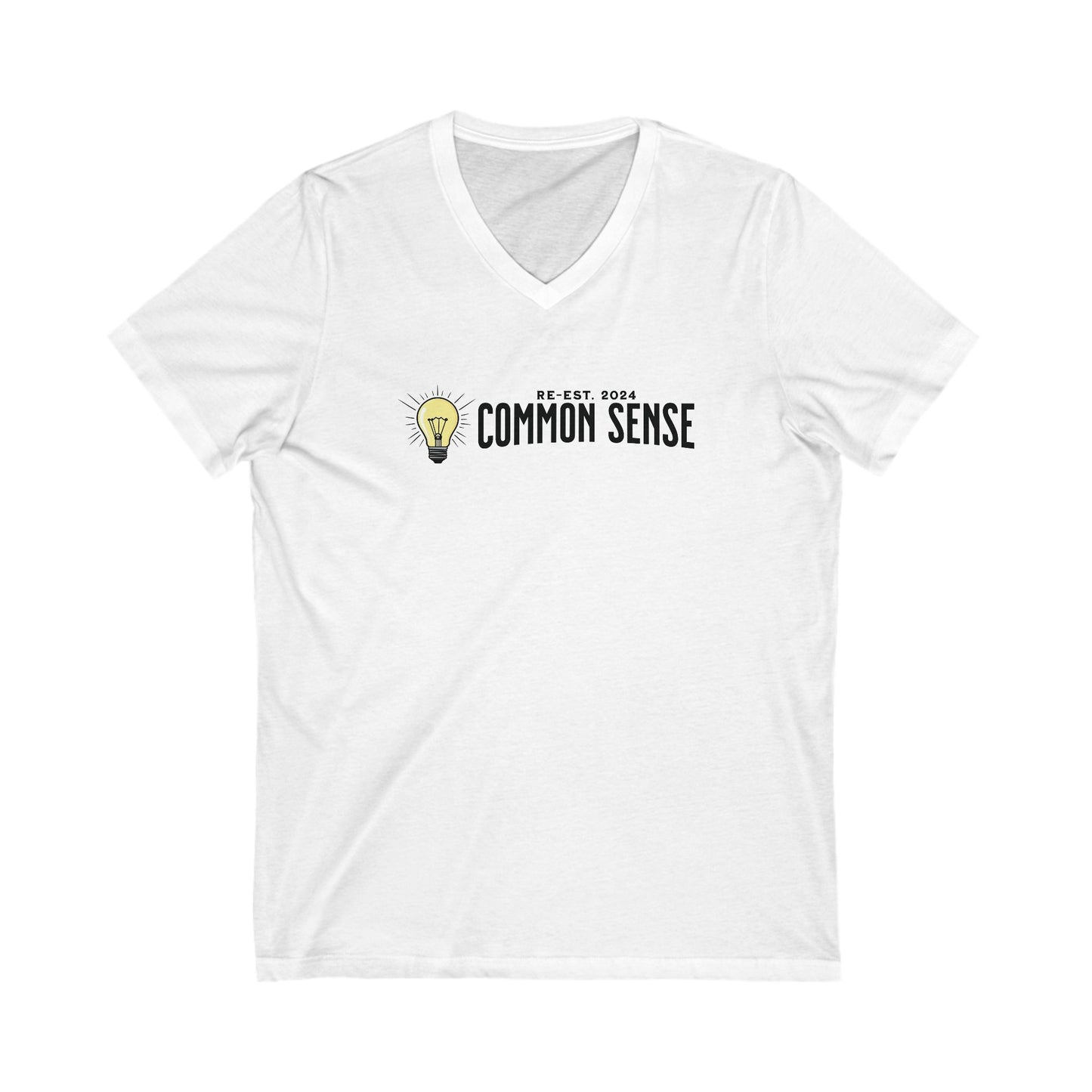 Common Sense - Ladies Jersey Short Sleeve V-Neck Tee